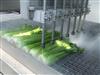 Celery Cutting w-7 Waterjet Heads on Conveyor